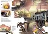 AK Interactive AK4906 WORN ART COLLECTION ISSUE 04 – CAMOUFLAGE